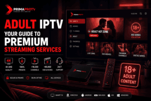 IPTV streaming interface preview illustrating premium adult IPTV subscription plans
