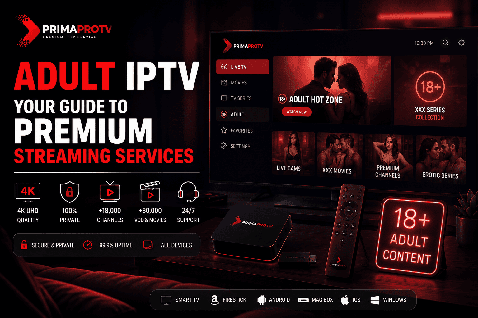 IPTV streaming interface preview illustrating premium adult IPTV subscription plans